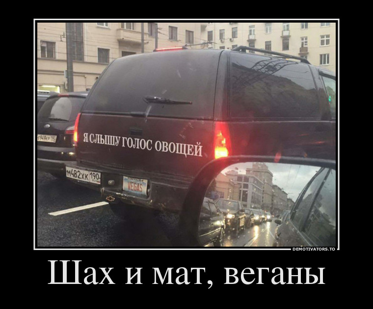 Шах и мат, веганы Свежая подборка демотиваторов, которые поднимут вам настроение