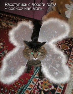 Смех без причины-признак отличного настроения.