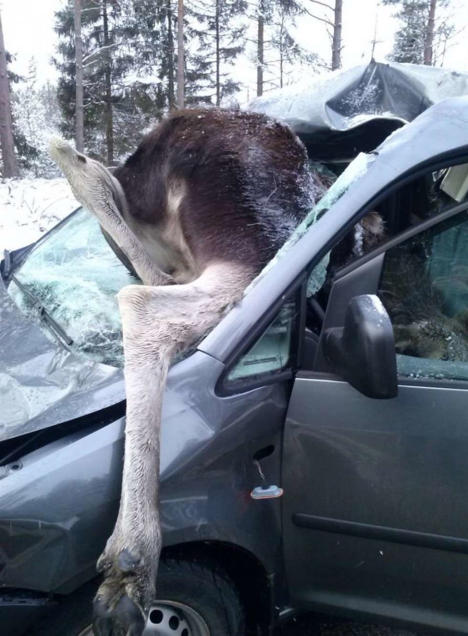 � ������ ���� ���������� ������� ������ � �������� �� ������� � ��������