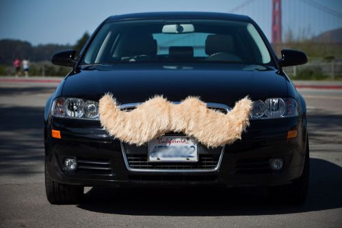 Усатые авто - новое направление в тюнинге (7 фото) Усатые авто - новое направление в тюнинге (7 фото)