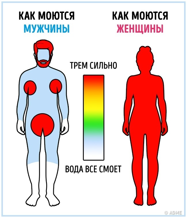 16 отличий мужчин и женщин в инфографике. :))) 16 отличий мужчин и женщин в инфографике. :)))