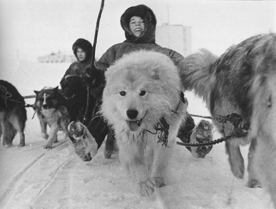 Значительное из жизни СССР в фотографиях Юрия Абрамочкина