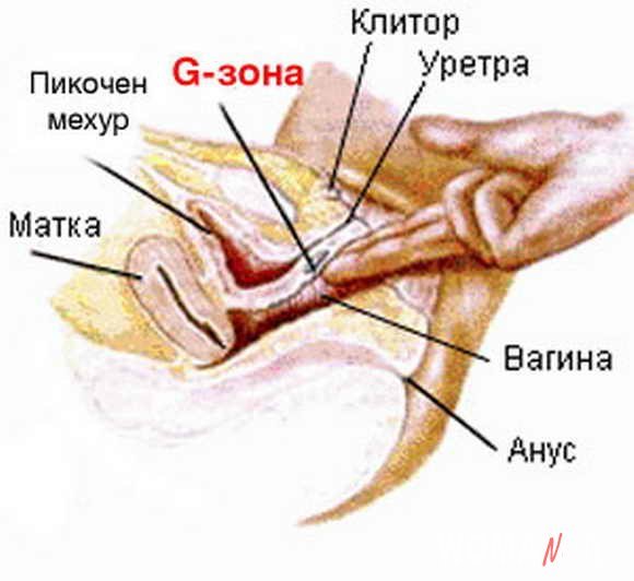 Сквиртинг видео инструкция