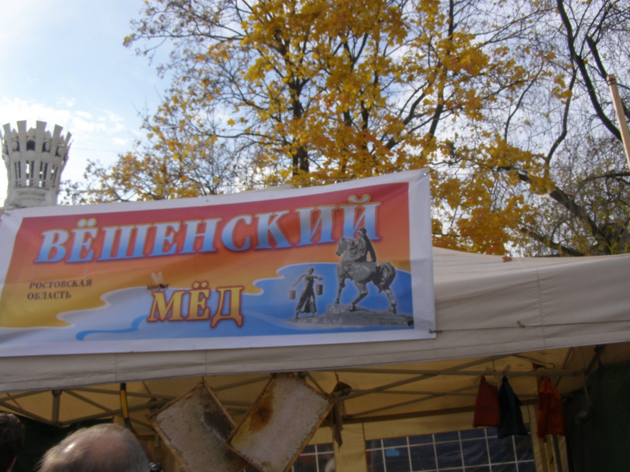 Прогулки по Москве. Осень на ВДНХ. Прогулки по Москве. Осень на ВДНХ 2014.