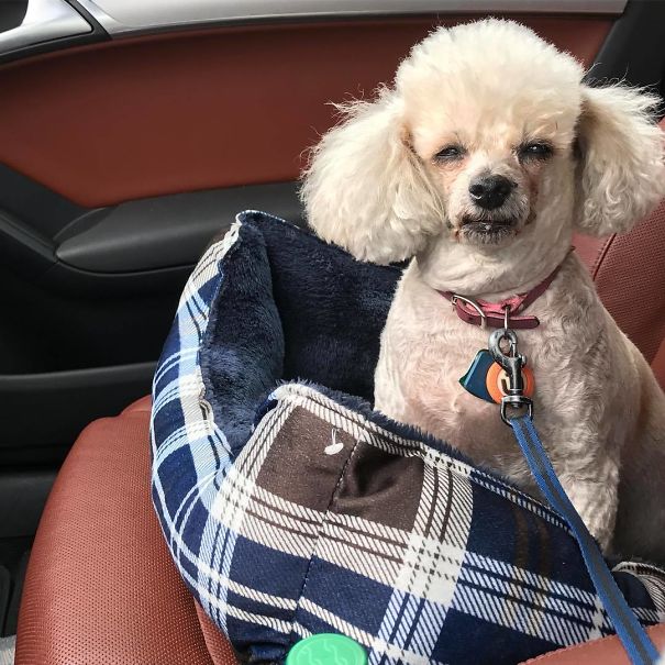 Naty Realized We Were Going To The Vet Naty Realized We Were Going To The Vet