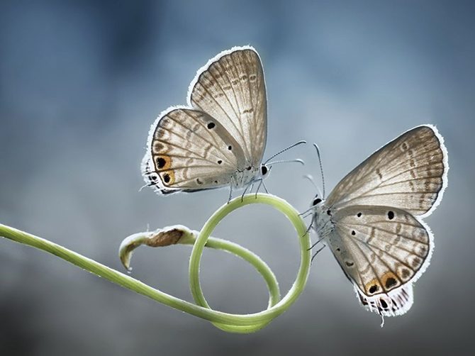 Лучшие фотографии National Geographic Лучшие фотографии National Geographic