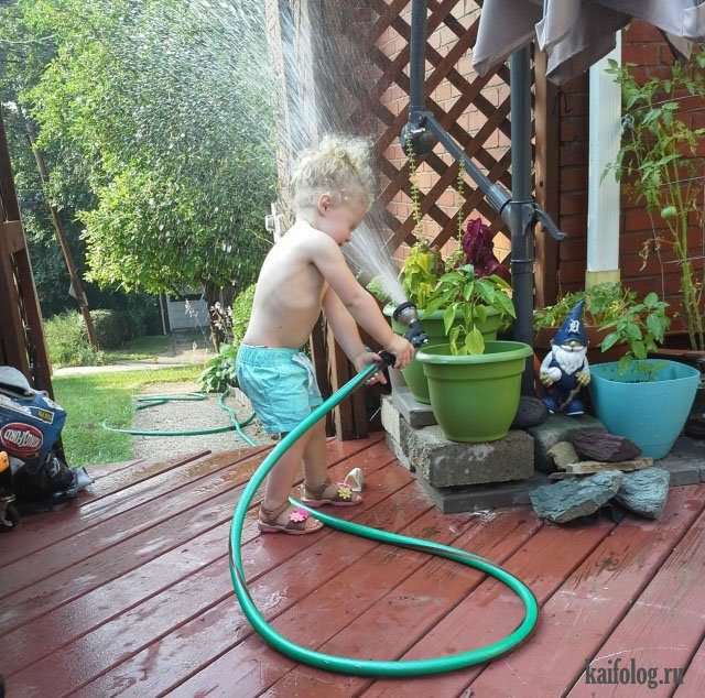 Чудо в перьях (45 фото) Чудо в перьях (45 фото)