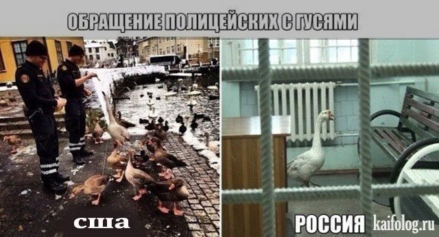 Сравнение США и России (35 фото) Сравнение США и России (35 фото)