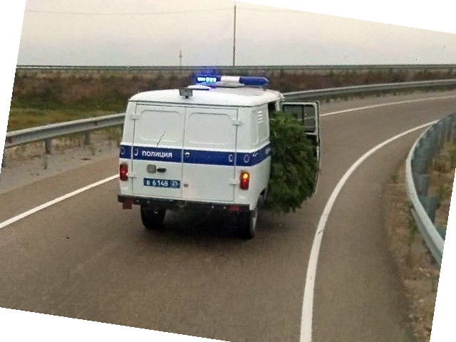 Автовсячина Автовсячина Автовсячина, авто, автомобиль, автоприкол, машина, прикол