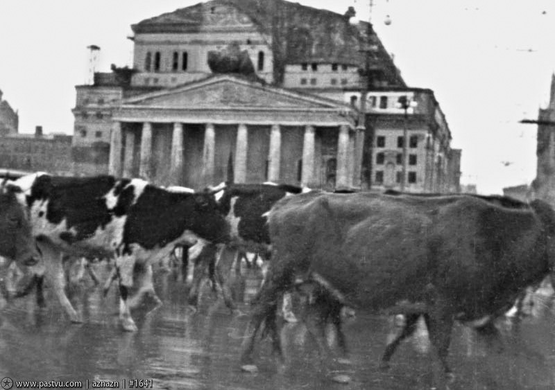 Как в декабре 1941 года в центре Москвы нарисовали фальшивый город Как в декабре 1941 года в центре Москвы нарисовали фальшивый город