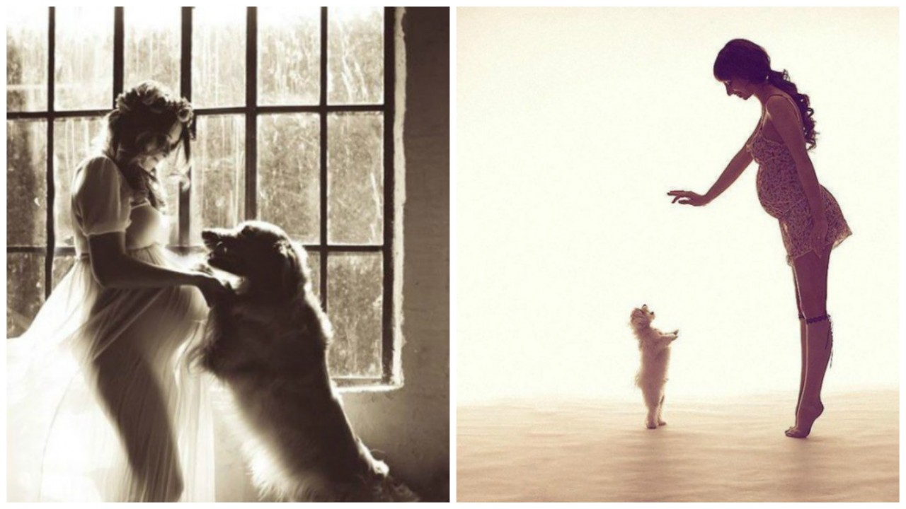 15 собак, которые очень ждут пополнения вместе с родителями 15 собак, которые очень ждут пополнения вместе с родителями