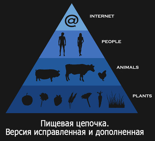 З-Урок 8. Юмор на столе...