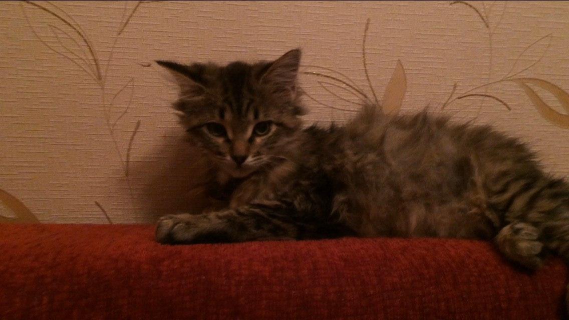 Мужик взял за шкирку и бросил ребенка в мокрые кусты... Мужик взял за шкирку и бросил ребенка в мокрые кусты...