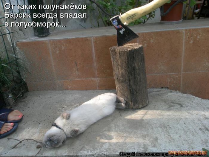 Котоматрицы великолепные, каждая с кусочком позитива и хорошего настроения!!! Котоматрицы великолепные, каждая с кусочком позитива и хорошего настроения!!!