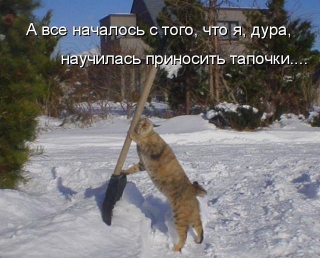 original.jpg#20641389720