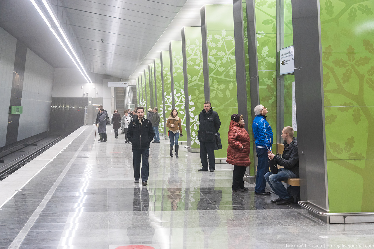 Туман в дремучем лесу. Станция метро Раменки Туман в дремучем лесу. Станция метро Раменки