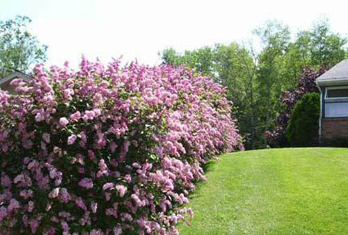 3 ������� ������� ����� ��������