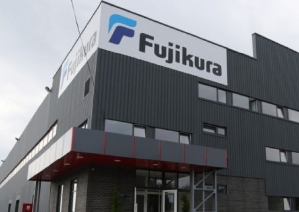 Японцы в шоке: Скакуны отказываются работать на заводе Fujikura за 200 евро