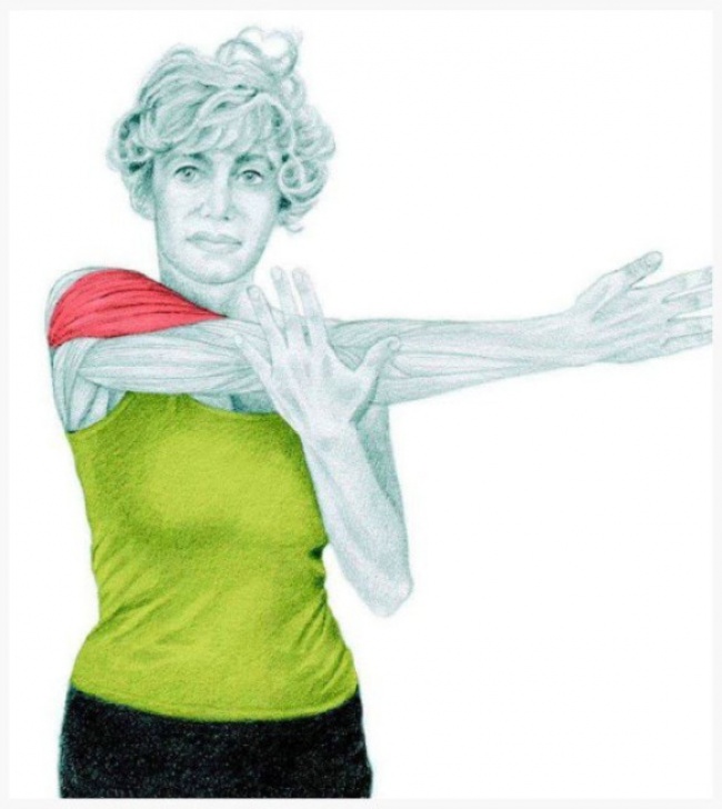 20 изображений, которые покажут, какие мышцы вы используете