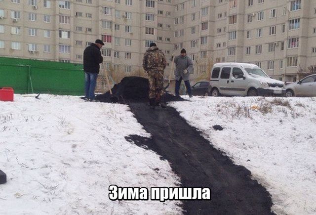 Подборка картинок Подборка картинок
