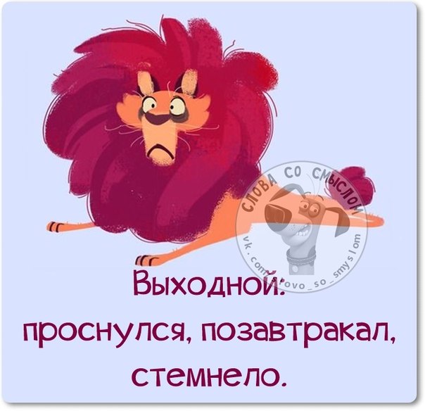 Прикольные фразочки в картинках Прикольные фразочки в картинках
