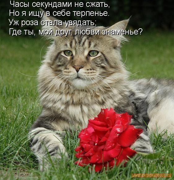 Давайте улыбаться вместе! :) (28поводов)