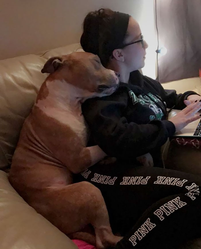 hugging-adopted-pitbull-russ-16