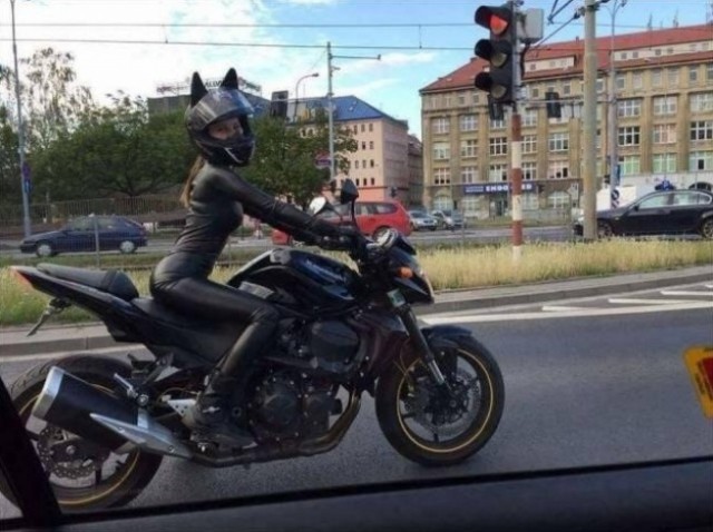 23 доказательства того, что в дороге можно всякого насмотреться 23 доказательства того, что в дороге можно всякого насмотреться