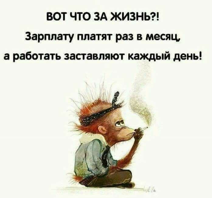 Мойша купил за сто долларов осла у старого крестьянина... Мойша купил за сто долларов осла у старого крестьянина...