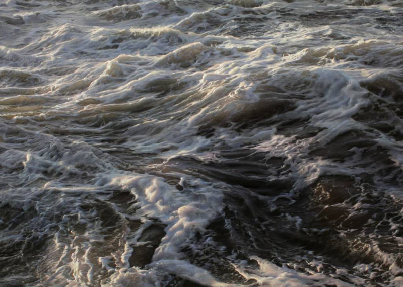ЖИВОЕ МОРЕ РЭНА ОРТНЕРА