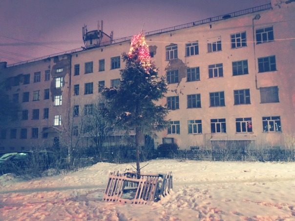 Новогодние приколы. Класс! Новогодние приколы. Класс!