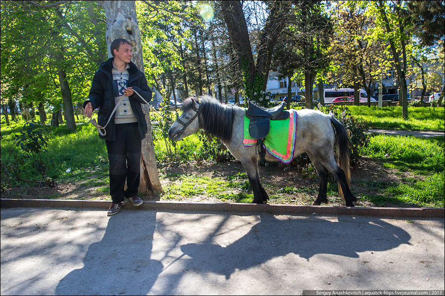 Перемены Севастополя