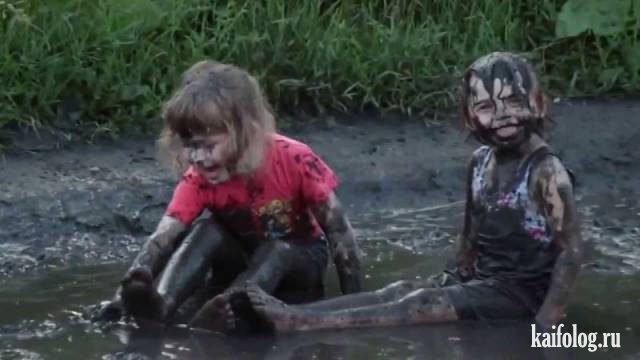 Чудо в перьях (45 фото) Чудо в перьях (45 фото)