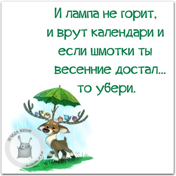 Прикольные фразочки в картинках