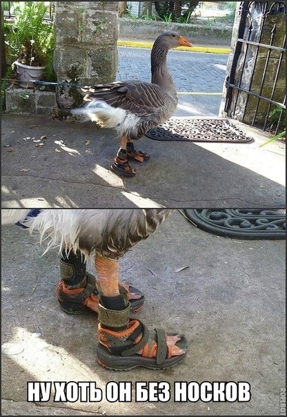 Давайте улыбаться вместе!