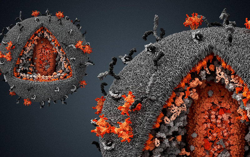 Что говорит наука о коронавирусе
