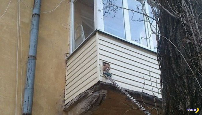 Всё о балконах Всё о балконах