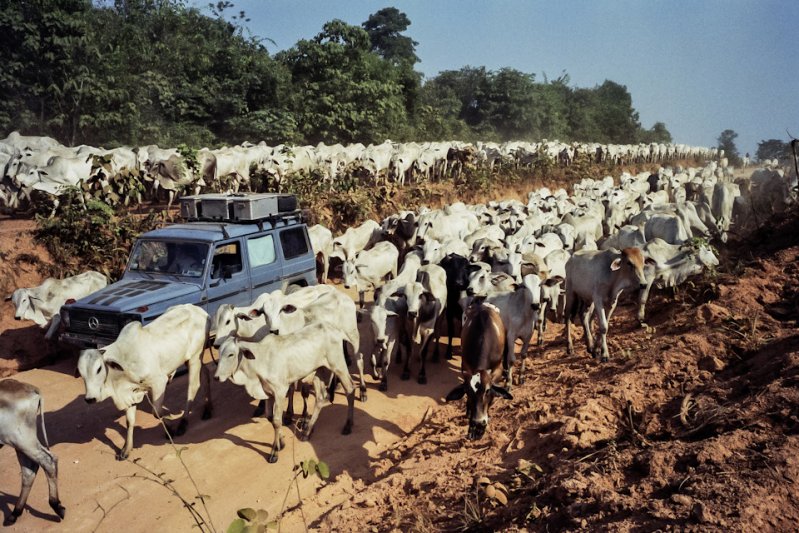 На Геландевагене вокруг света за 26 лет gelandewagen, mercedes, mercedes-benz, путешествие