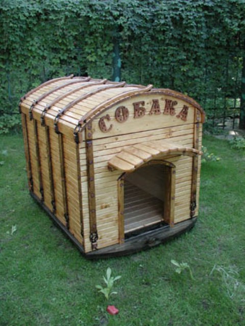 Собачья конура. Собака Собачья конура.