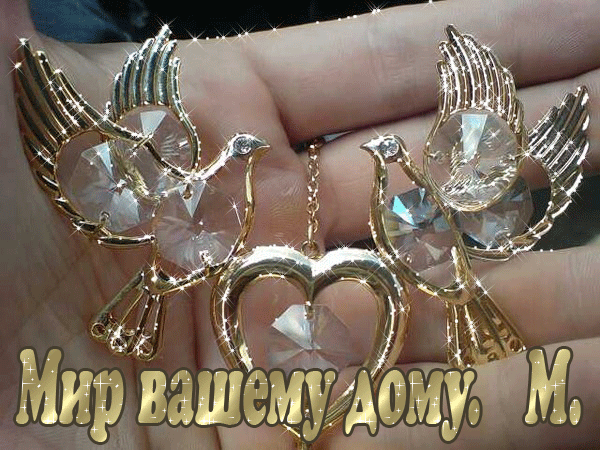 ������ ��� ���� ��������.