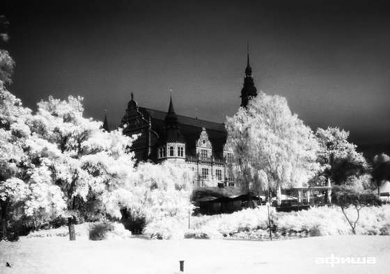Впечатленный открытием навигации фотограф Ревазов назвал Петербург лучшим городом на Земле