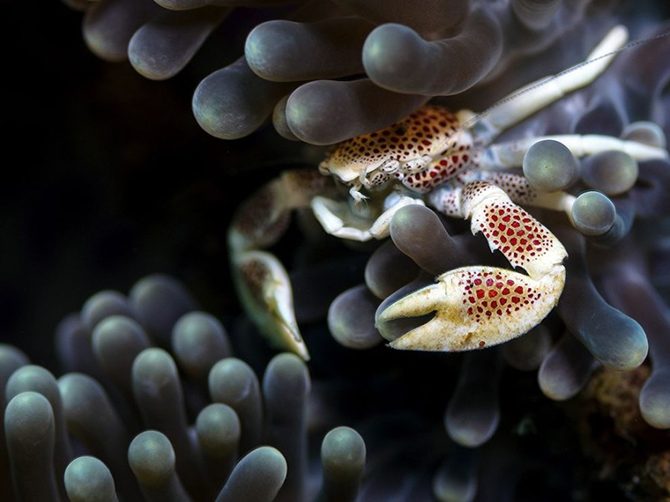 Лучшие фотографии National Geographic Лучшие фотографии National Geographic