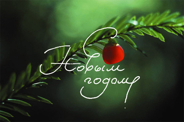 С Новым годом!!!