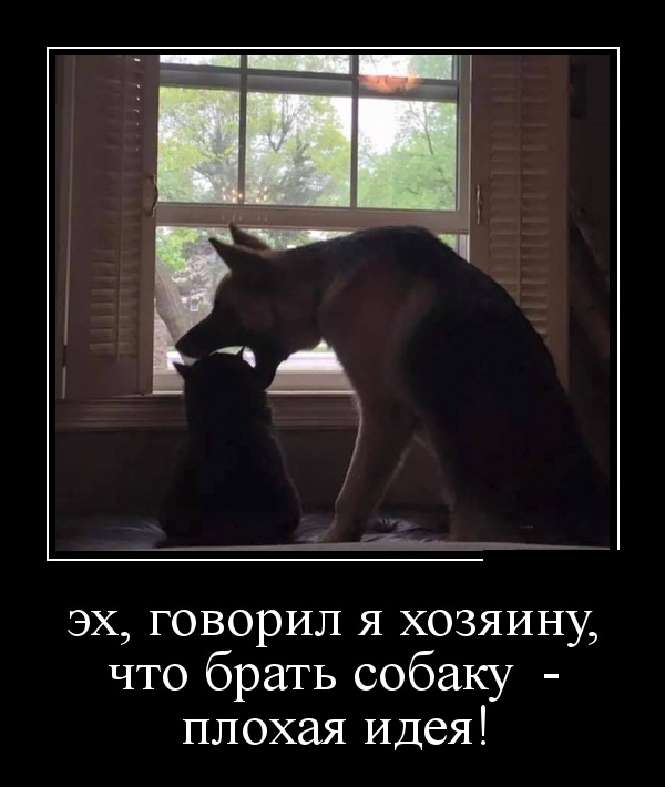 Забавные и умные демотиваторы. 555 ( 30 фото ) Забавные и умные демотиваторы. 555 ( 30 фото )