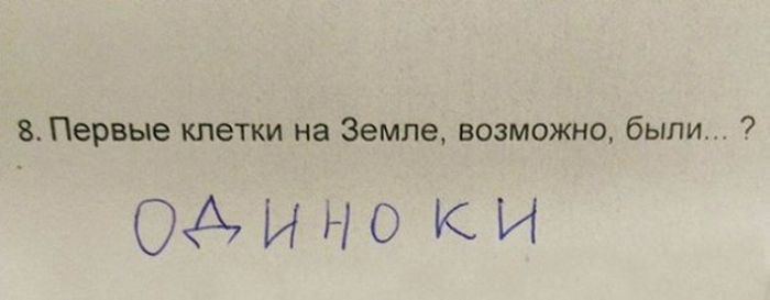 Когда школьники понимают больше, чем многие взрослые Когда школьники понимают больше, чем многие взрослые