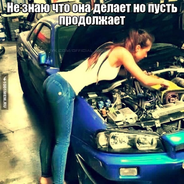 Юмористические советы автодамам Юмористические советы автодамам