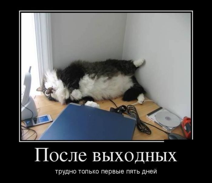 Демотиваторы дня. Смейтесь на здоровье! Демотиваторы дня. Смейтесь на здоровье!