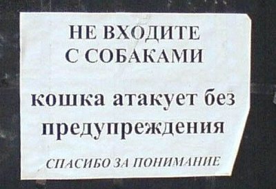 Картинки по запросу смешные объявления про собак