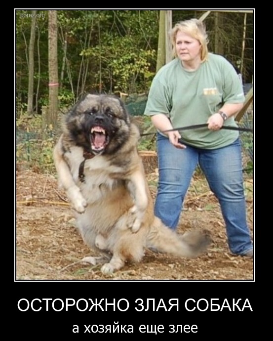 Неуправляемая Неуправляемая