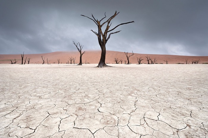 Deadvlei, что означает мёртвое болото. Оно окружено самыми высокими дюнами в мире. Снимок сделан в Намибии. Автор: Marsel van Oosten. Deadvlei, что означает мёртвое болото. Оно окружено самыми высокими дюнами в мире. Снимок сделан в Намибии. Автор: Marsel van Oosten.